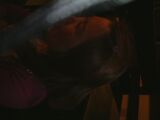 dscf0263.jpg