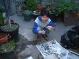 dscf0281.jpg