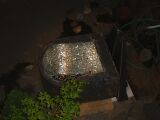 dscf0289.jpg