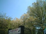 dscf0293.jpg