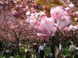 dscf0317.jpg