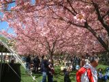 dscf0318.jpg