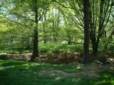 dscf0319.jpg