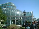 dscf0326.jpg