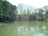 dscf0330.jpg