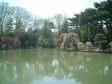 dscf0331.jpg