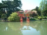 dscf0333.jpg