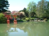 dscf0334.jpg