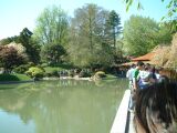 dscf0335.jpg