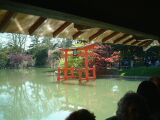 dscf0339.jpg