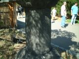 dscf0340.jpg