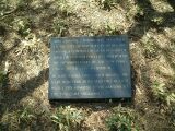 dscf0341.jpg