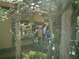 dscf0346.jpg