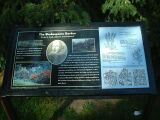 dscf0350.jpg