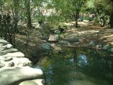 dscf0359.jpg