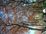 dscf0360.jpg