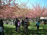 dscf0361.jpg