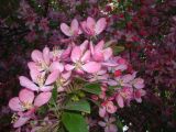 dscf0363.jpg
